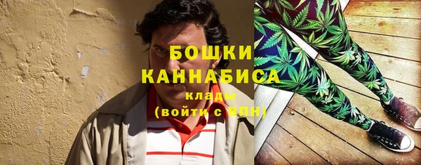 ГАЛЛЮЦИНОГЕННЫЕ ГРИБЫ Коряжма