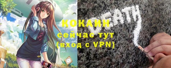 ГАЛЛЮЦИНОГЕННЫЕ ГРИБЫ Коряжма