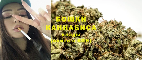 хмурый Кодинск