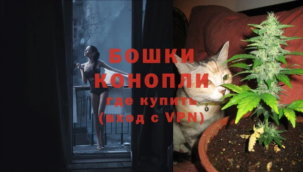 ГАЛЛЮЦИНОГЕННЫЕ ГРИБЫ Коряжма