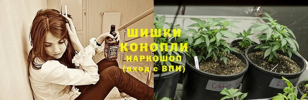 хмурый Кодинск