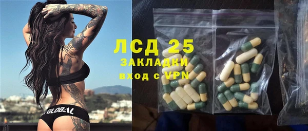 ГАЛЛЮЦИНОГЕННЫЕ ГРИБЫ Коряжма