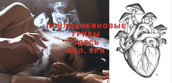 прущие крисы Костерёво